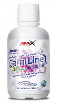AMIX Carniline® Proactive L-Carnitine Liquid with Green Tea 480 ml