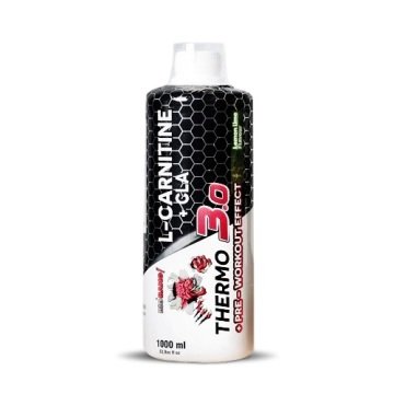 Protouch BigBang Thermo 3.0 L-Carnitine+CLA 1000 ml