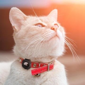 AirTag Kılıf, Spigen Pet Collar