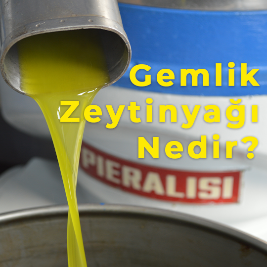 Gemlik Zeytinyağı Nedir?