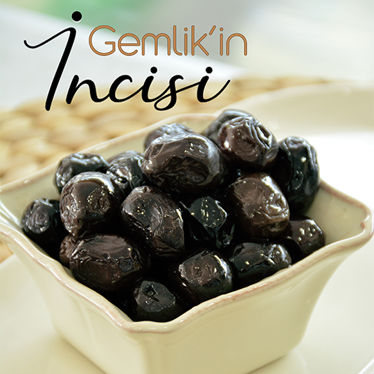 İyi Zeytin Nasıl Olur?