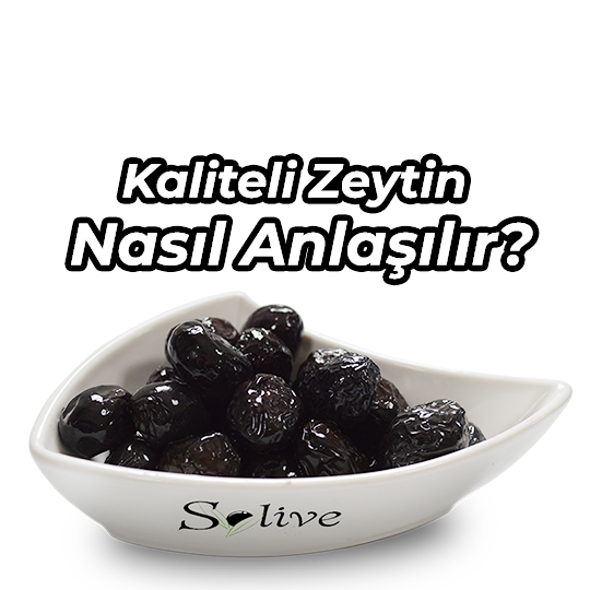 Kaliteli Zeytin Nasıl Anlaşılır?