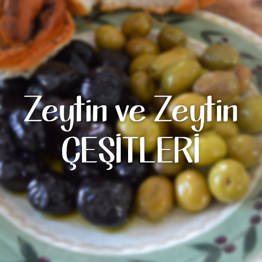 Zeytin ve Zeytin Çeşitleri