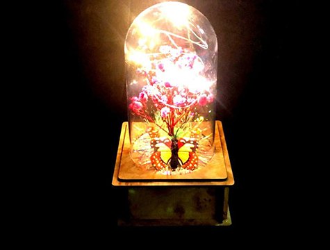 Fanus İçinde Kelebek ve Çiçek Temalı Led Işıklı Biblosu