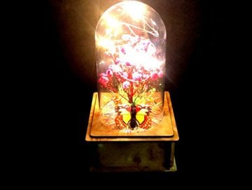 Fanus İçinde Kelebek ve Çiçek Temalı Led Işıklı Biblosu