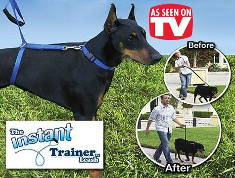 Köpek Eğitim Tasması Instant Trainer Leash