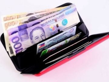 Aluma Wallet Bayan Cüzdan ve Kredi Kartlık
