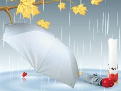 Gül Saplı Love Şemsiye