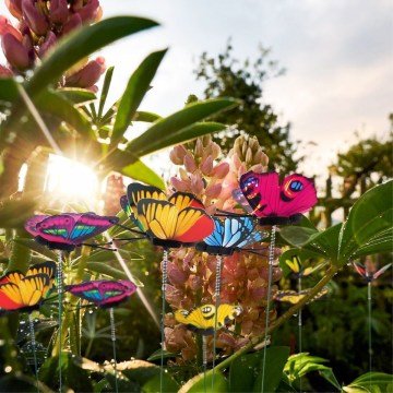 Dekoratif Saksı Perde Süsleme Kelebekleri (5 Adet)