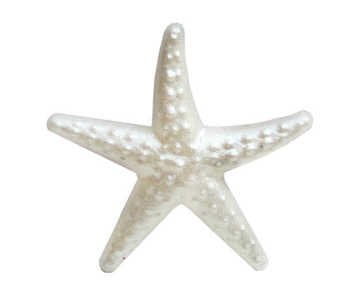 Sedefli Mini Deniz Yıldızı Nikah Şekeri Malzemesi (100 Adet)