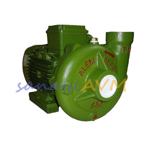 S-50 ALEM BERTOLA 3 HP Trifaze Santrifüj Pompa