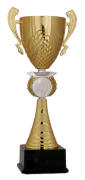 Kupa Altın 07 (37 cm)