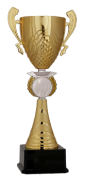 Kupa Altın 08  (39 cm)