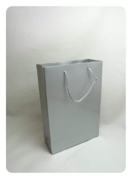 25 Li 17x25 cm Selefonlu Karton Çanta / Poşet Gümüş