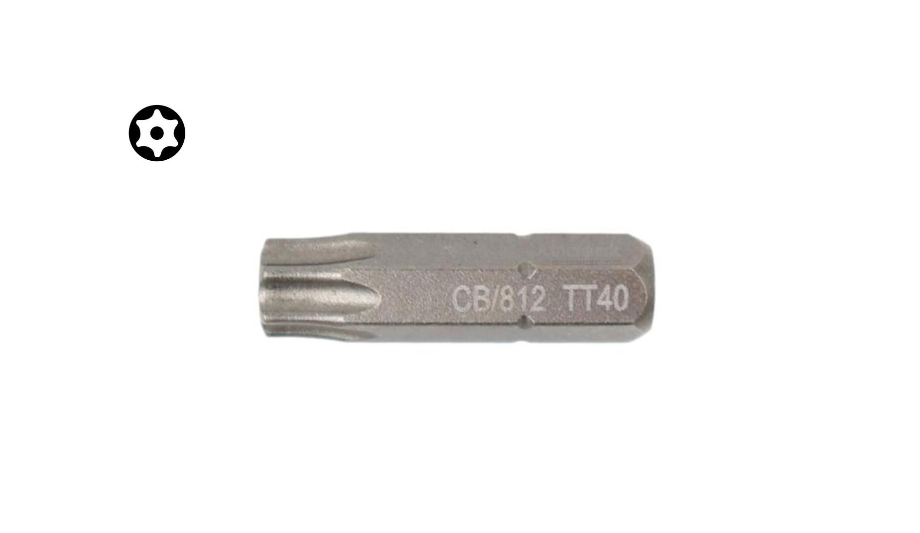Ceta Form T40 x 25 mm Delikli Torx Bits Uç CB/812T