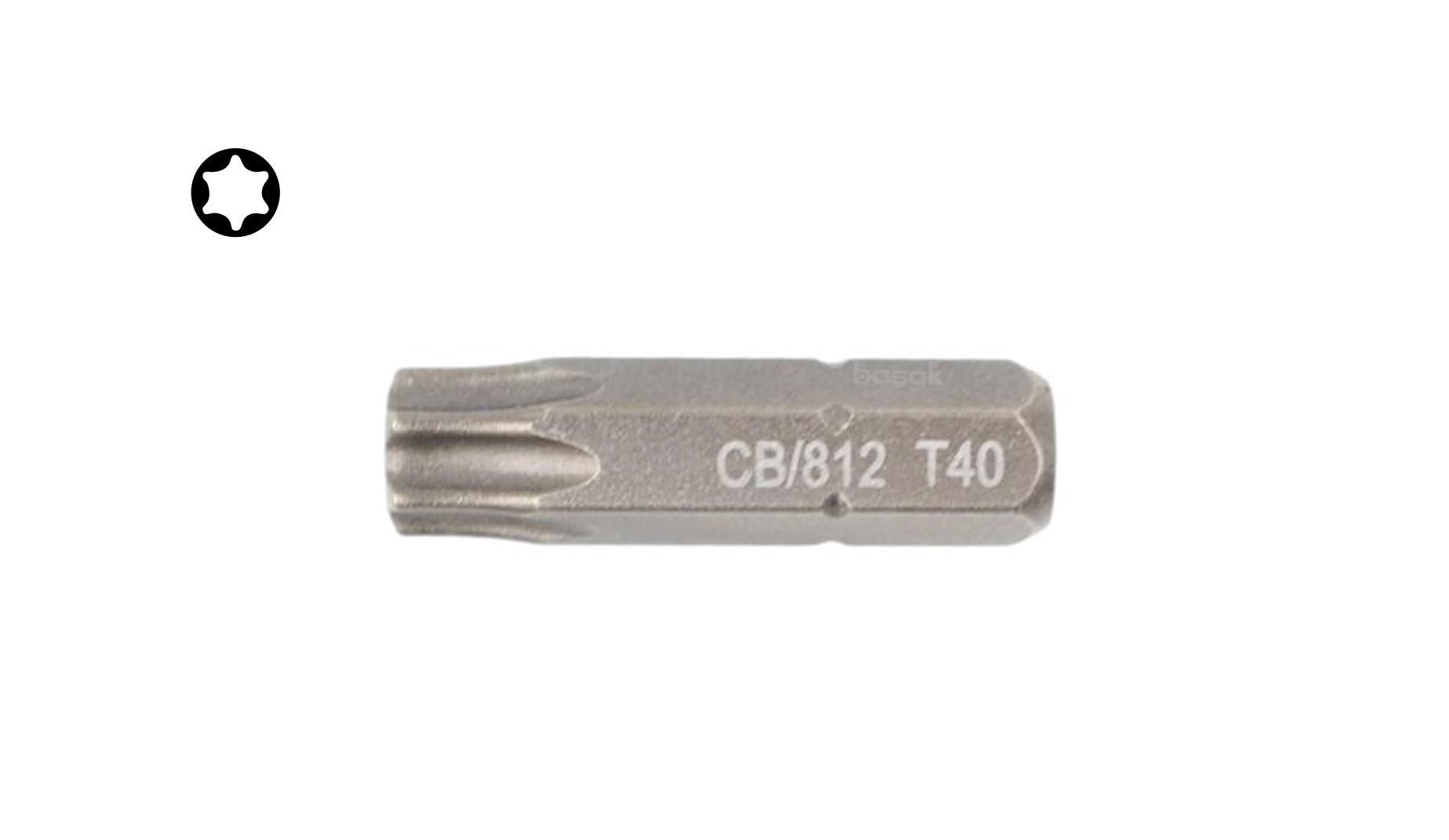 Ceta Form T40 x 25 mm Torx Bits Uç CB/812