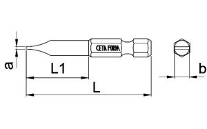 Ceta Form 5,5 mm Düz Bits 50 mm CB/621