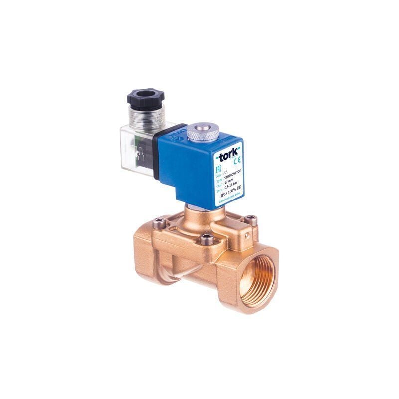 Tork S2021 Buhar Solenoid Valf Pilot Kumandalı N.Açık Fark Basınçsız