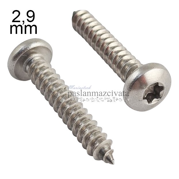 2,9mm Paslanmaz Torx SB Saç Vidası Çeşitleri