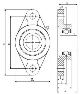 NFL RULMAN YATAKLARI/BEARING INSERT