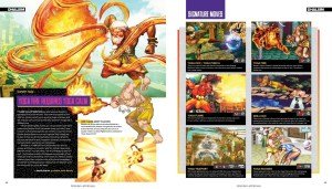 UNDISPUTED STREET FIGHTER HC