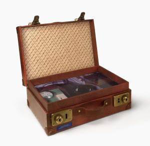 Fantastic Beasts: The Magizoologists Discovery Case