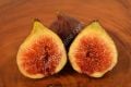 Hardy Chicago fig - Ficus carica Hardy Chicago