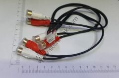 Newfron NF-U1A 7'' Indash  Oto Teyp 10 pin rca  kablo