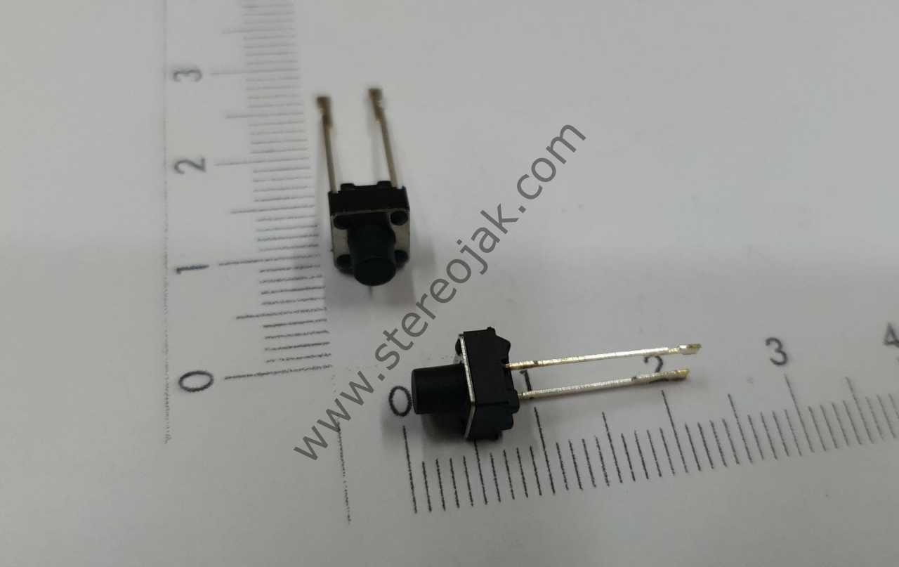 4mm  2 ayak buton switch