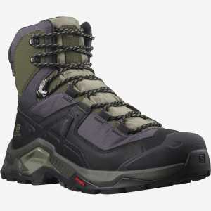 Salomon Quest Element GTX Trekking Botu