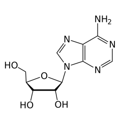 Adenozin 1 g