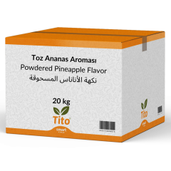 Toz Ananas Aroması 20 kg