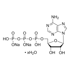 Adenozin Trifosfat 1 g