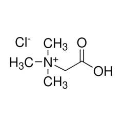 Betain Hidroklorid 1 kg