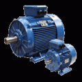 3 kw 3000 d/d Marelli Exproof B3 Motor - D6C100LA2