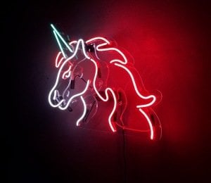 Unicorn Neon Şekil