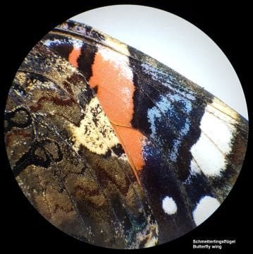 BRESSER Analyth STR 10x - 40x stereo mikroskop