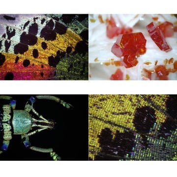 BRESSER USB Dijital Mikroskop DST-1028 5.1MP 10x - 280x