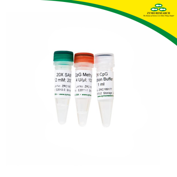 ZYMO RESEARCH E2011 CpG Methylase (M. Sssl) 400 U