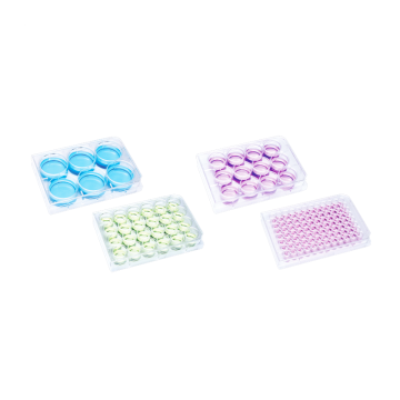 ISOLAB Düz Kuyulu Plak - Hücre Kültürü için - 24 Kuyulu - 1 mL 100 Adet/Paket