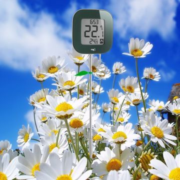 TFA 30.2029.04 'Fiora' Bahçe Termometresi
