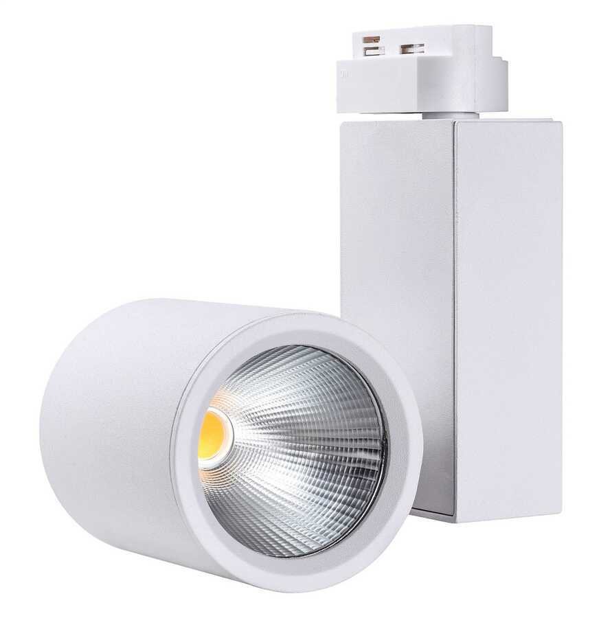 Jupiter 3000K Gün ışığı 30W Monofoze Soketli LED Ray Spot LR467 B