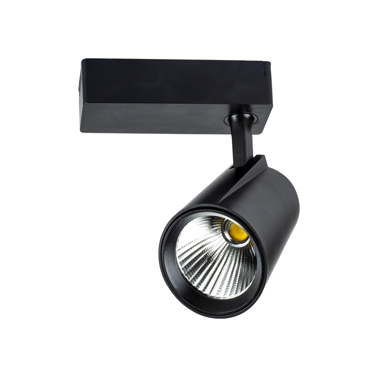 Noas 40W 6500K Beyaz Işık Siyah Lyon Led Ray Spot YL29 4001