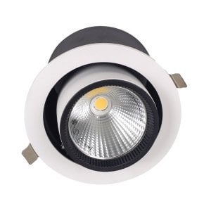 ACK 30W COB Led Salyangoz Armatür 6500K AD36-00630