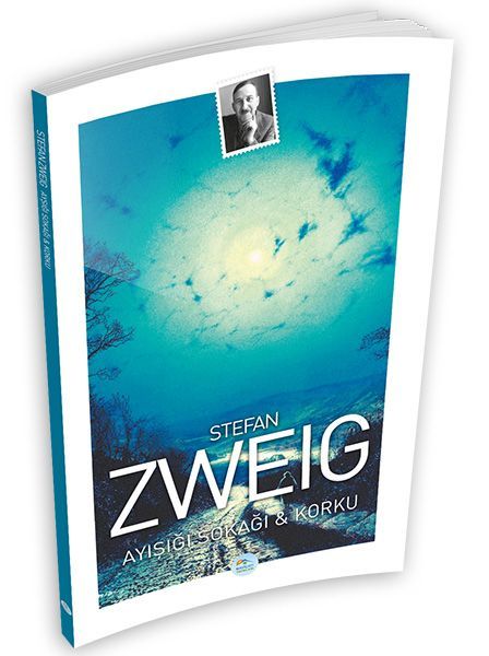Ayışığı Sokağı ve Korku, Stefan Zweig