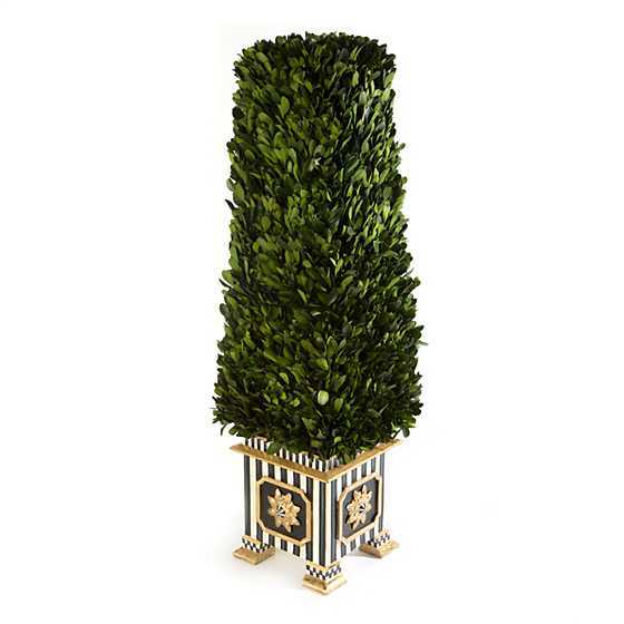 Boxwood Obelisk - Medium