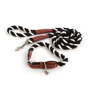 Courtly Twist Pet Collar - Medium