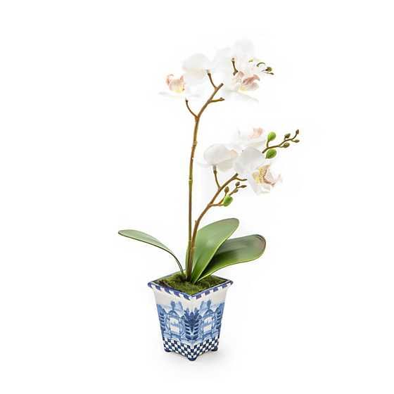 Royal Toile Potted Orchid - Small