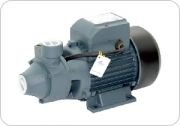 RAİN PUMP QB 60 0,50 HP Su Motoru