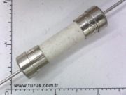 1 Amper 250Volt  5X20mm Tel ayaklı sigorta